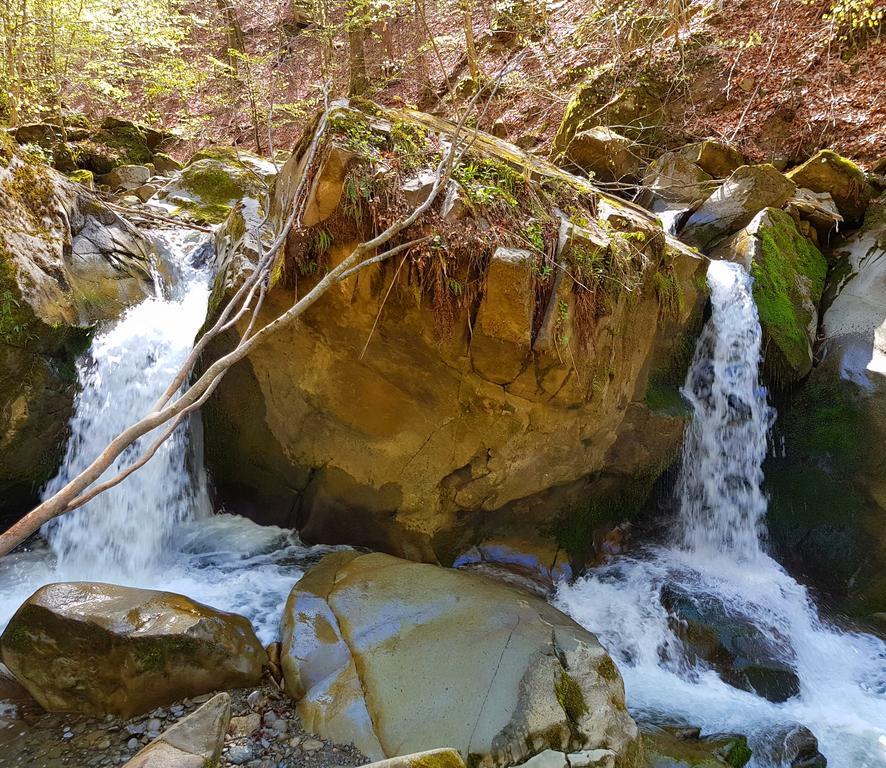 Zelena Sadyba Turichki Exteriér fotografie
