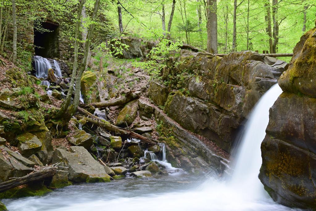 Zelena Sadyba Turichki Exteriér fotografie
