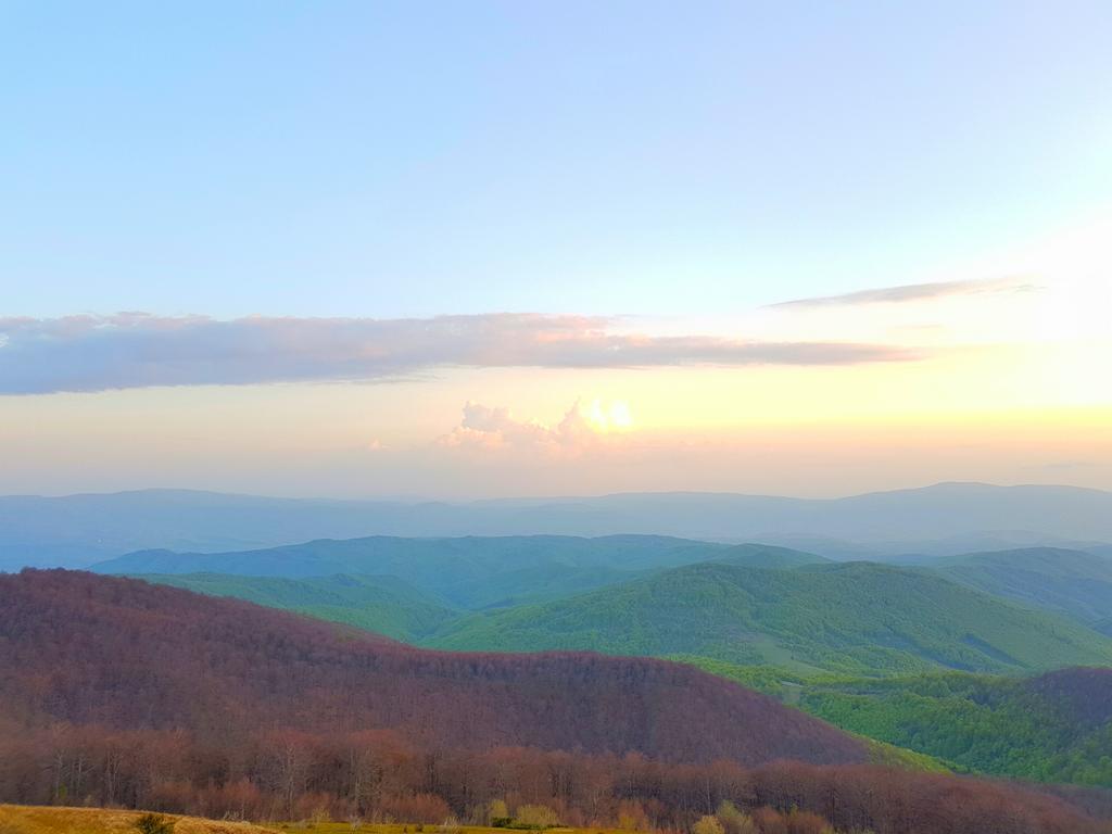 Zelena Sadyba Turichki Exteriér fotografie