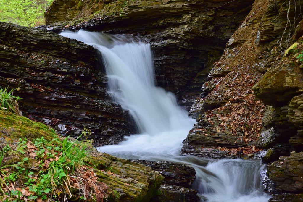Zelena Sadyba Turichki Exteriér fotografie