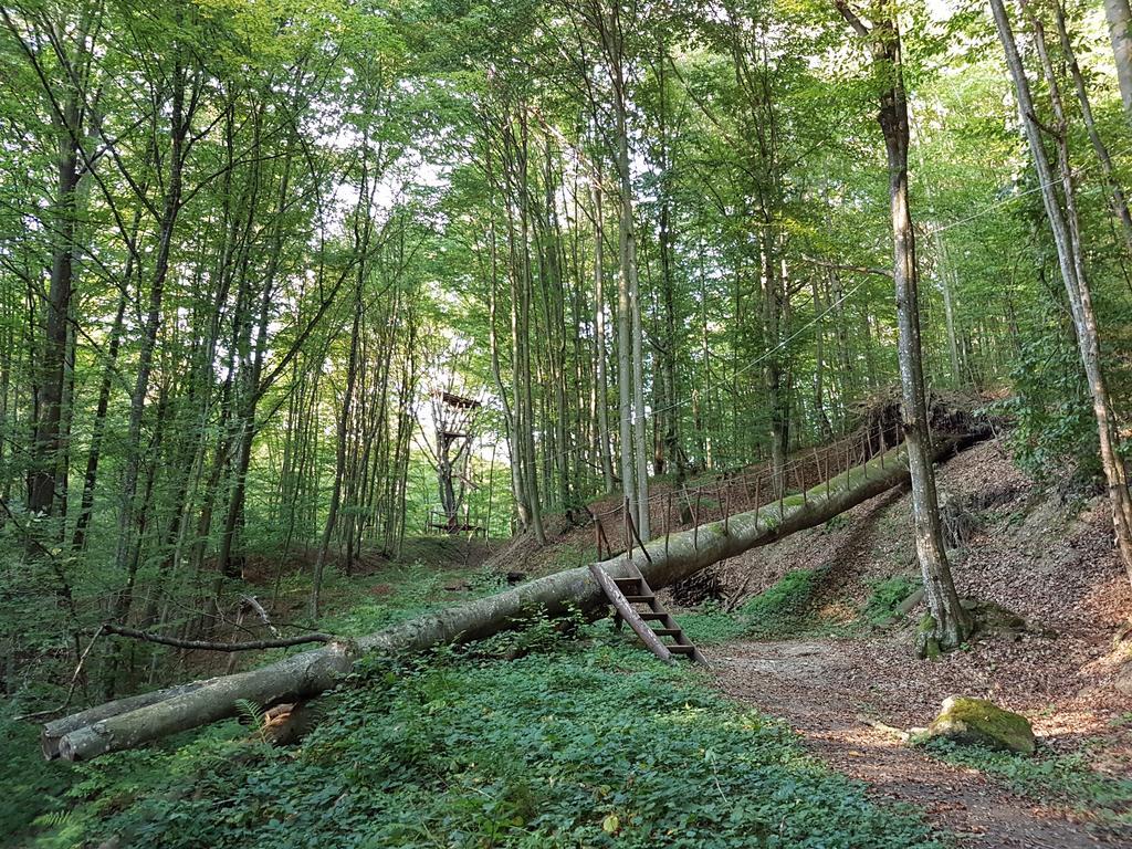 Zelena Sadyba Turichki Exteriér fotografie